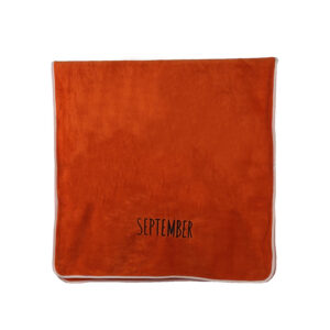 Solid Embroidered Flat Embroidered Month Letter Coral Fleece Towel#2025
